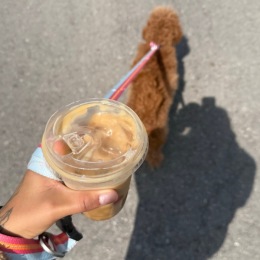 a person walking their dog